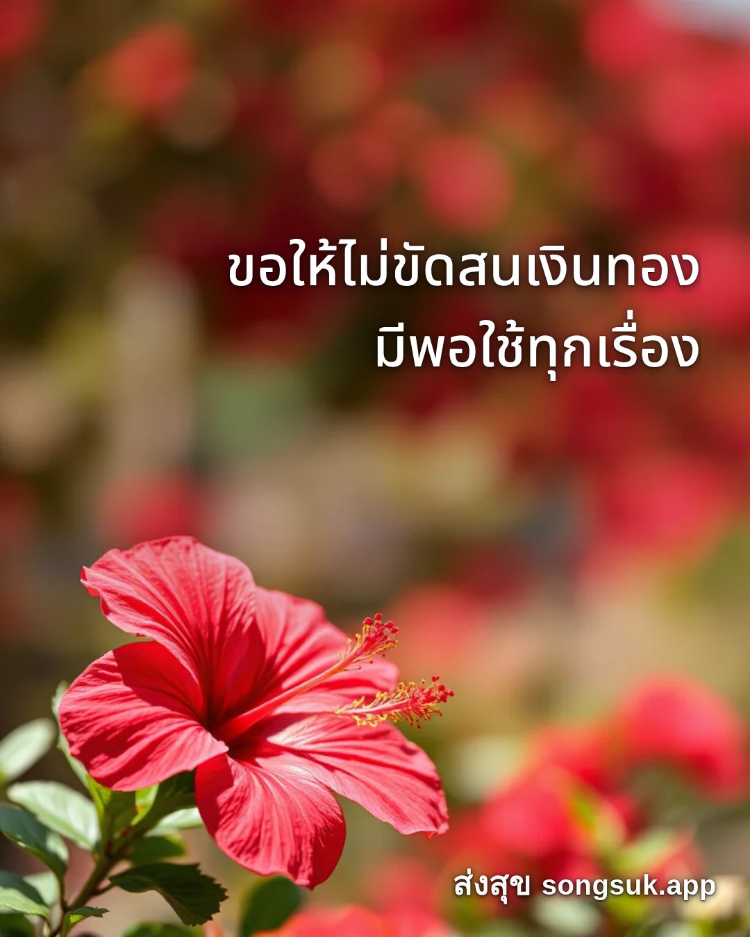 รูปอวยพร สวัสดีวันอาทิตย์
ขอให้ไม่ขัดสนเงินทอง
มีพอใช้ทุกเรื่อง จากส่งสุข
