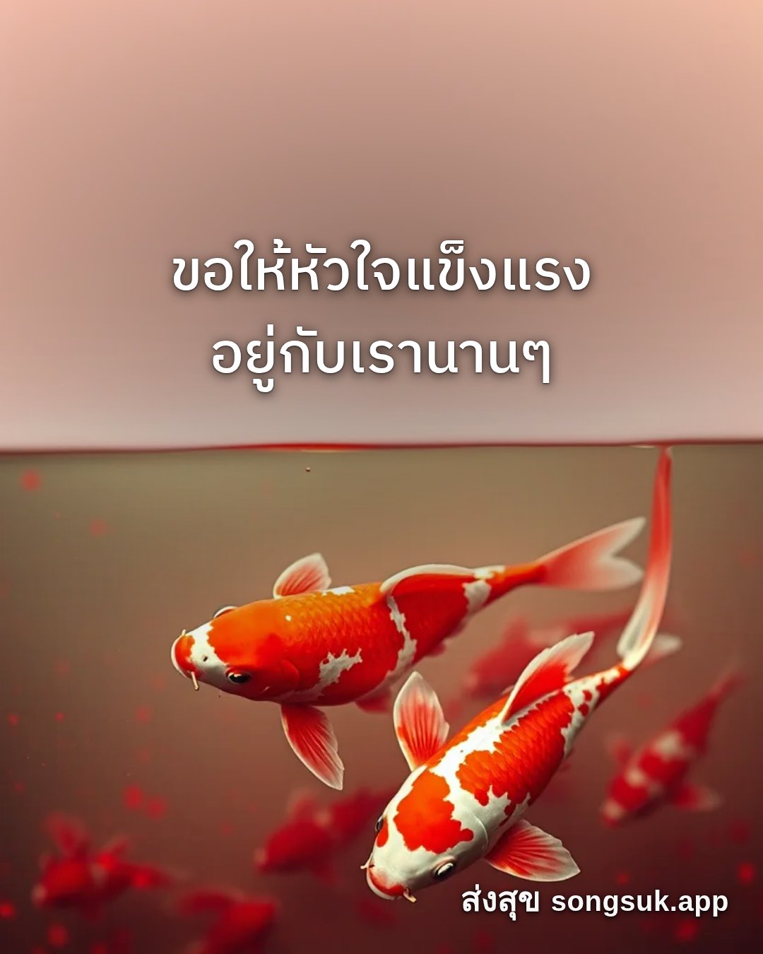 รูปอวยพร สวัสดีวันอาทิตย์
ขอให้หัวใจแข็งแรง
อยู่กับเรานานๆ จากส่งสุข
