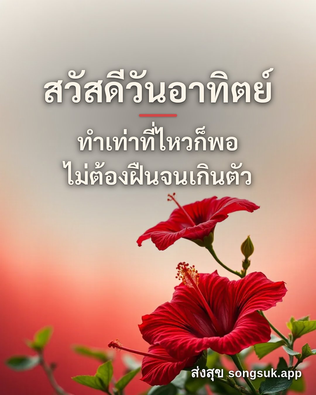 รูปอวยพร สวัสดีวันอาทิตย์
ทำเท่าที่ไหวก็พอ
ไม่ต้องฝืนจนเกินตัว จากส่งสุข