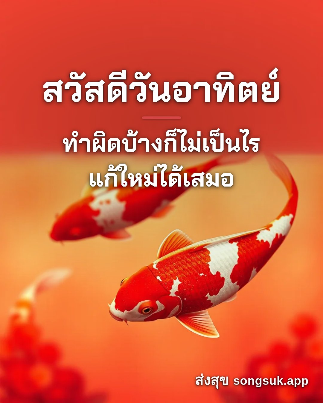 รูปอวยพร สวัสดีวันอาทิตย์
ทำผิดบ้างก็ไม่เป็นไร
แก้ใหม่ได้เสมอ จากส่งสุข