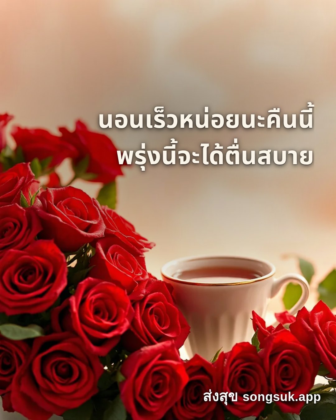 รูปอวยพร สวัสดีวันอาทิตย์
นอนเร็วหน่อยนะคืนนี้
พรุ่งนี้จะได้ตื่นสบาย จากส่งสุข