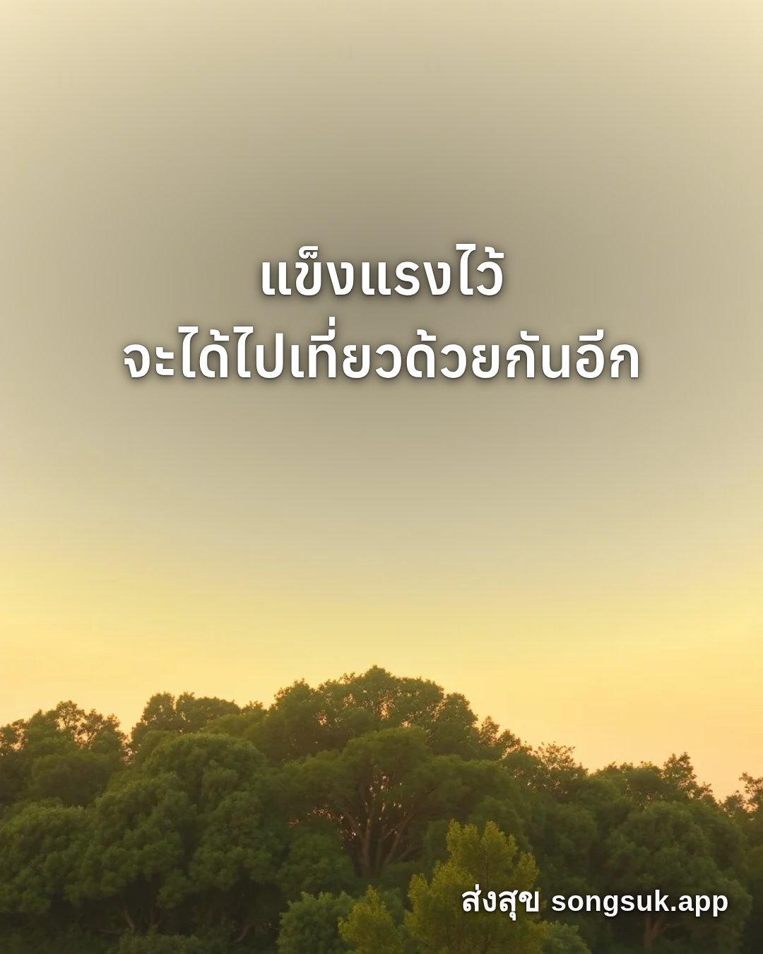 รูปอวยพร สวัสดีวันจันทร์
แข็งแรงไว้
จะได้ไปเที่ยวด้วยกันอีก จากส่งสุข