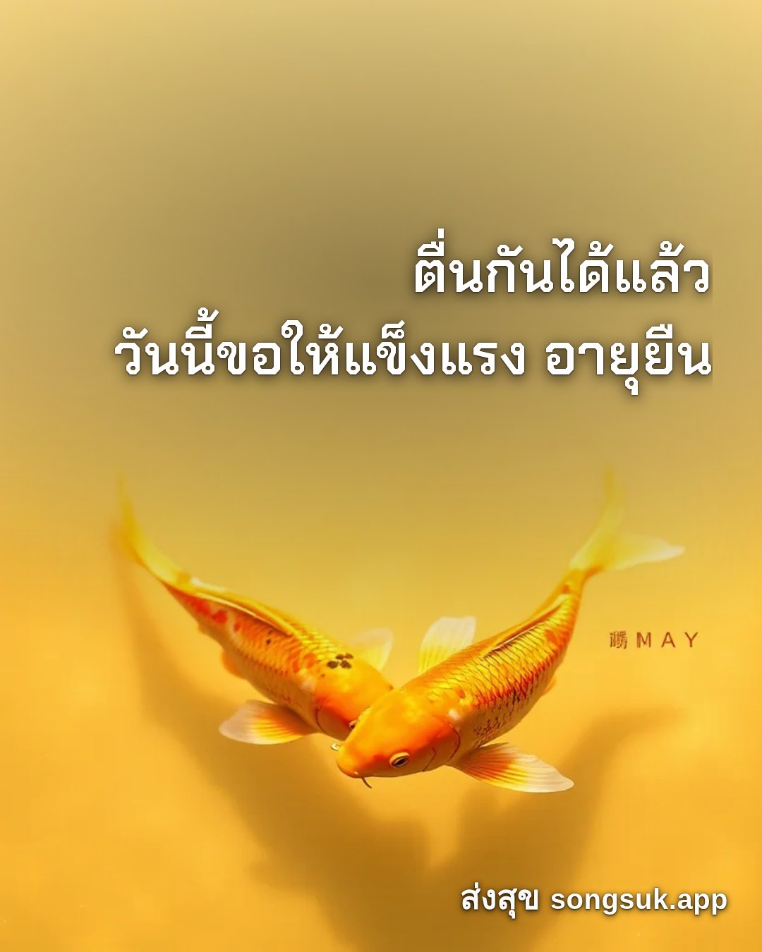 รูปอวยพร สวัสดีวันจันทร์
ตื่นกันได้แล้ว
วันนี้ขอให้แข็งแรง อายุยืน จากส่งสุข