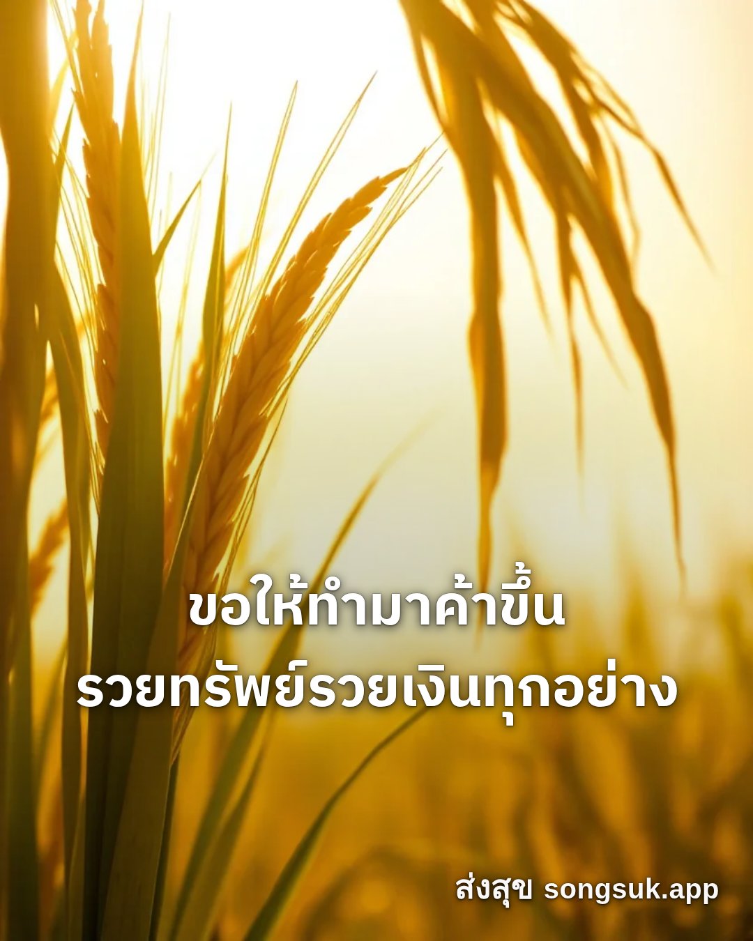 รูปอวยพร สวัสดีวันจันทร์
ขอให้ทำมาค้าขึ้น
รวยทรัพย์รวยเงินทุกอย่าง จากส่งสุข