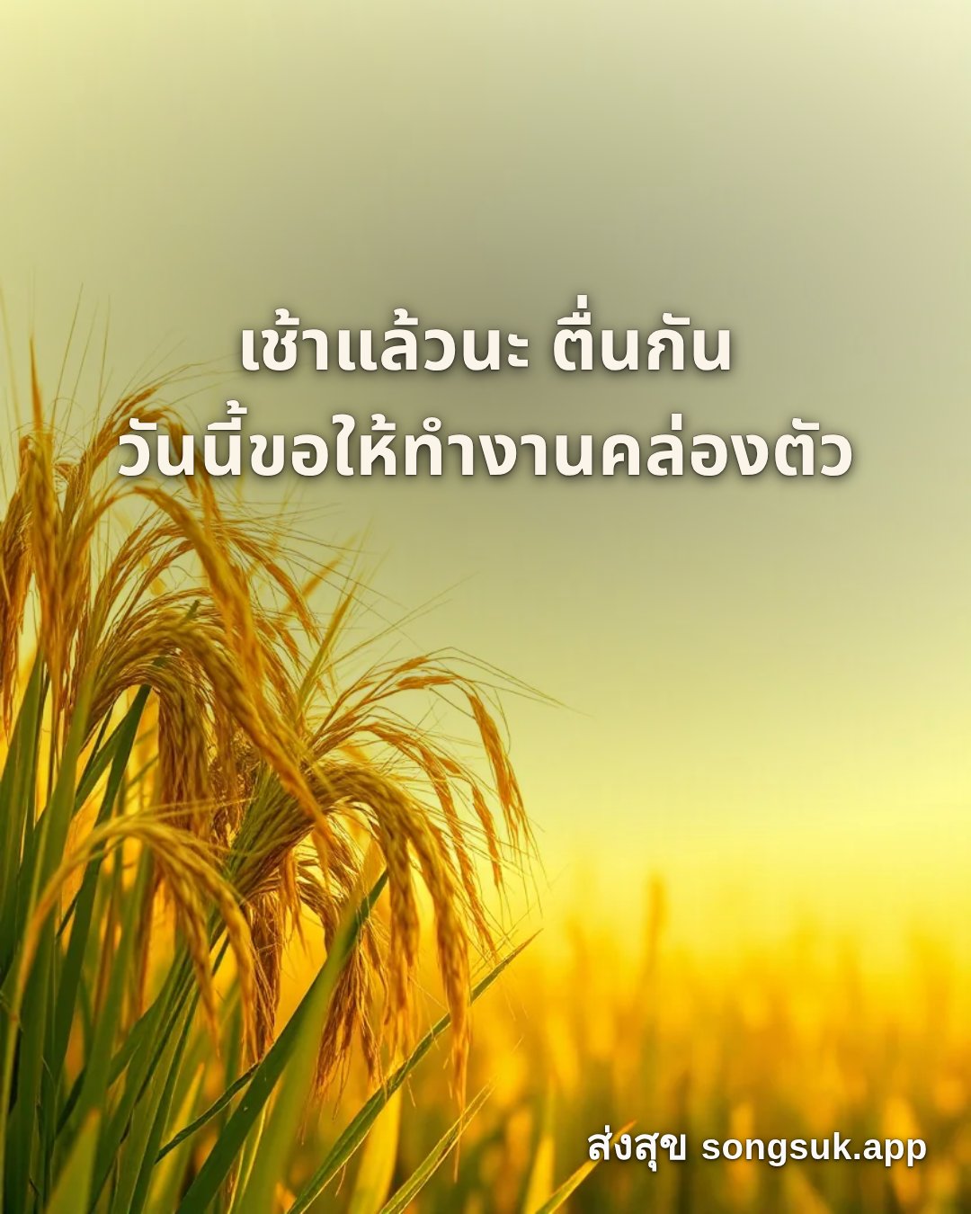 รูปอวยพร สวัสดีวันจันทร์
เช้าแล้วนะ ตื่นกัน
วันนี้ขอให้ทำงานคล่องตัว จากส่งสุข