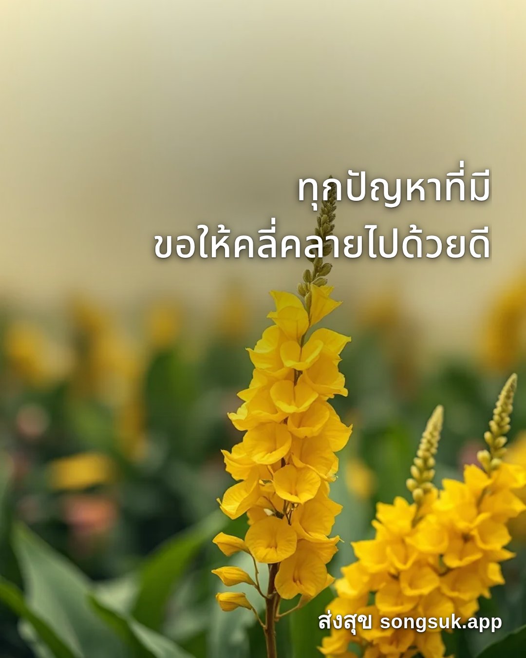 รูปอวยพร สวัสดีวันจันทร์
ทุกปัญหาที่มี
ขอให้คลี่คลายไปด้วยดี จากส่งสุข