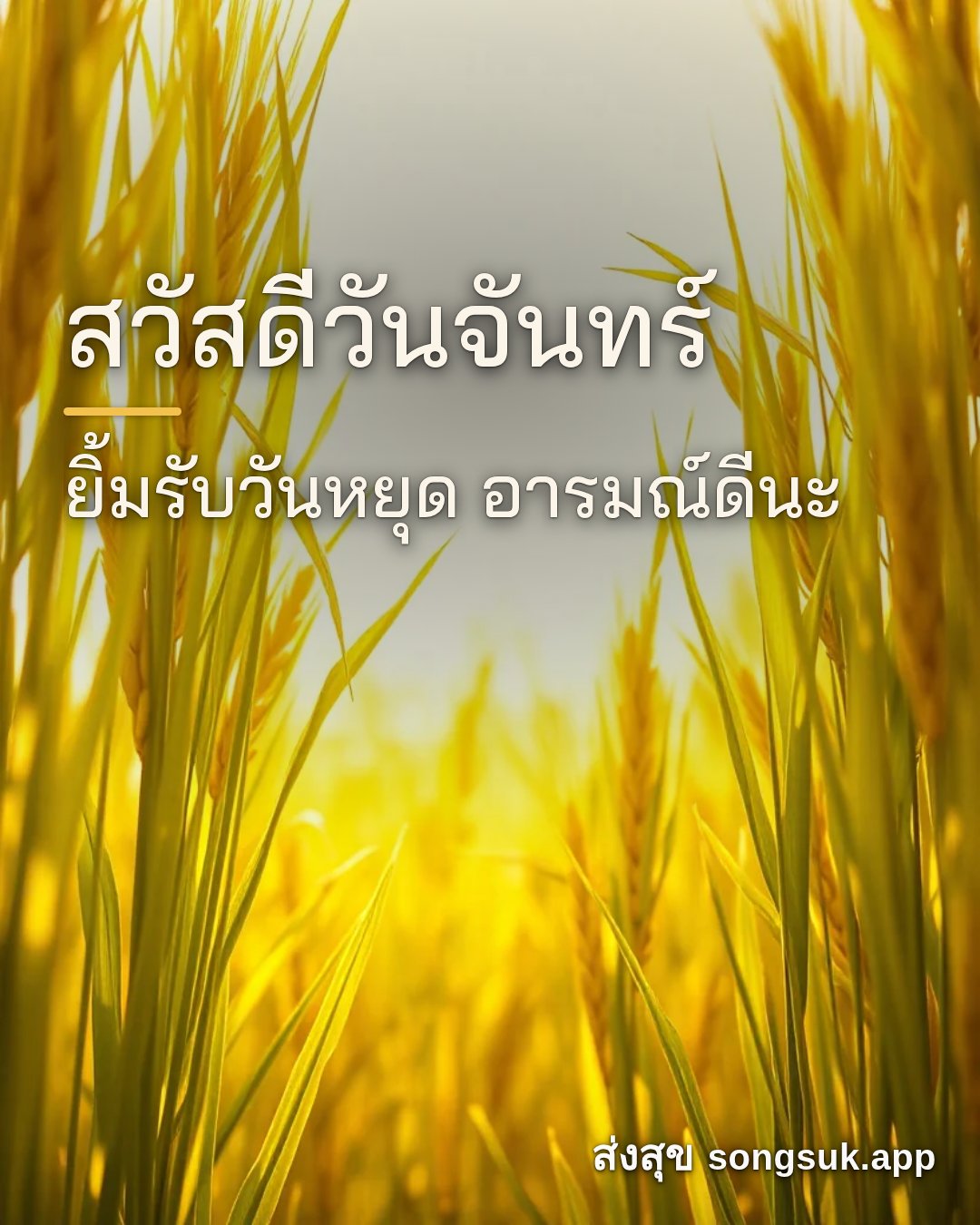 รูปอวยพร สวัสดีวันจันทร์
ยิ้มรับวันหยุด อารมณ์ดีนะ จากส่งสุข