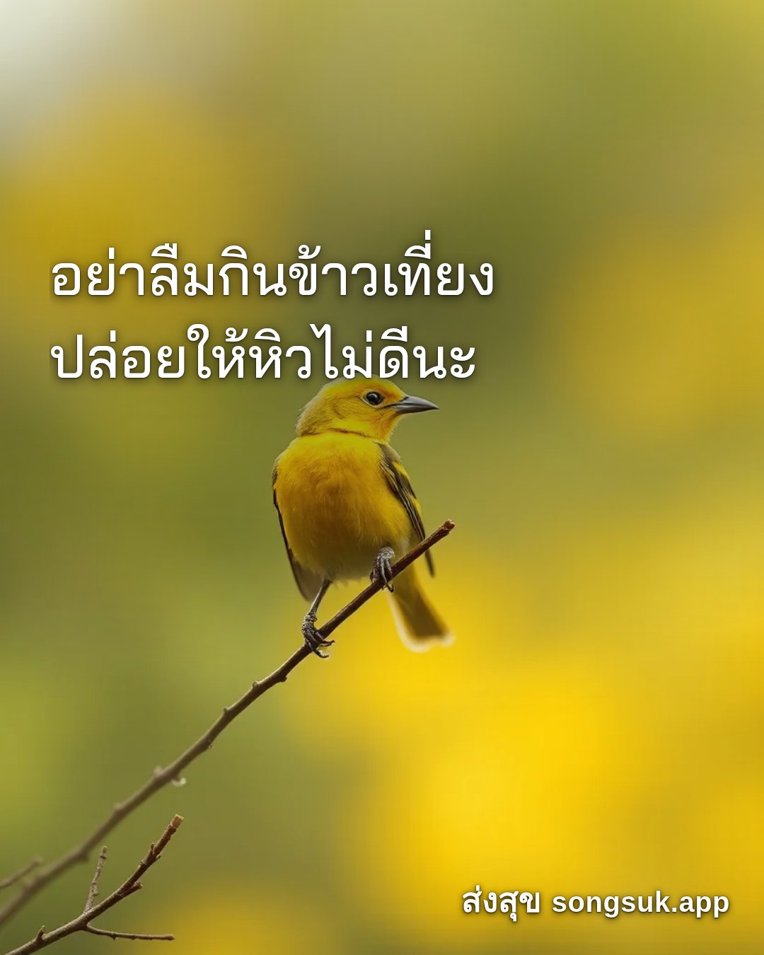 รูปอวยพร สวัสดีวันจันทร์
อย่าลืมกินข้าวเที่ยง
ปล่อยให้หิวไม่ดีนะ จากส่งสุข