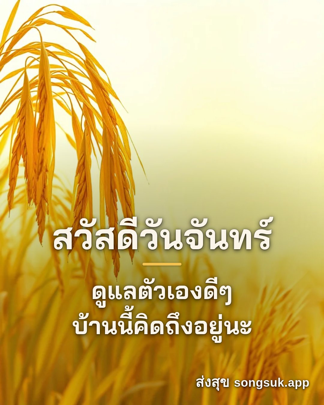 รูปอวยพร สวัสดีวันจันทร์
ดูแลตัวเองดีๆ
บ้านนี้คิดถึงอยู่นะ จากส่งสุข