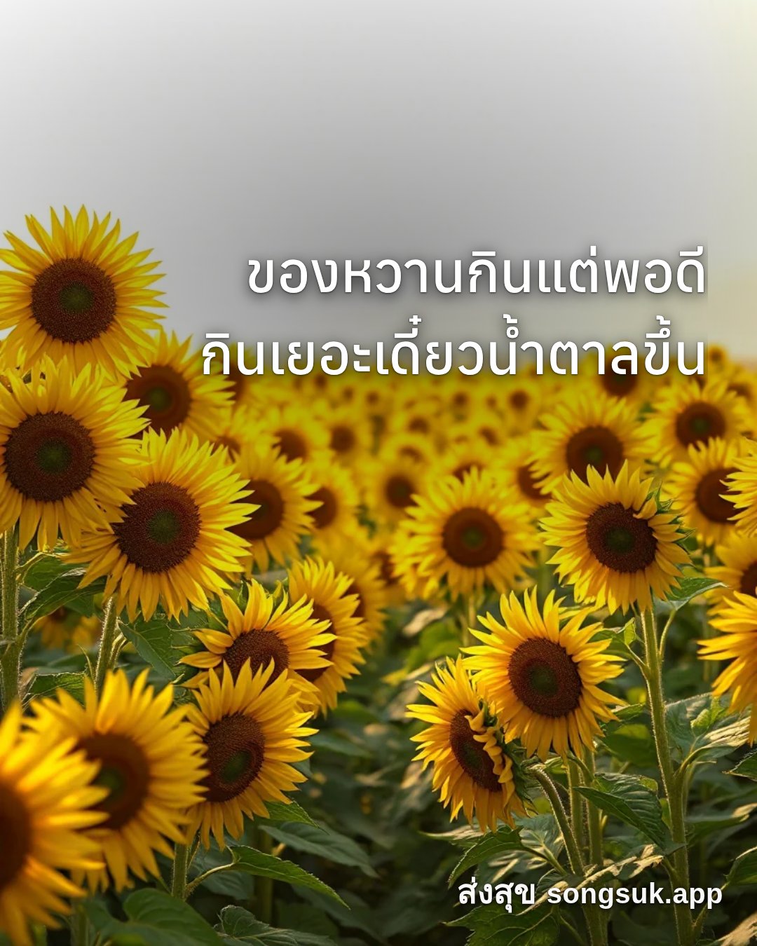 รูปอวยพร สวัสดีวันจันทร์
ของหวานกินแต่พอดี
กินเยอะเดี๋ยวน้ำตาลขึ้น จากส่งสุข