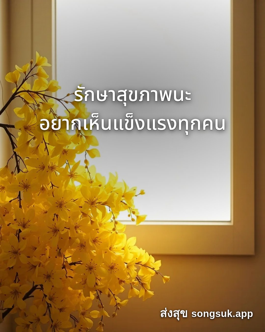 รูปอวยพร สวัสดีวันจันทร์
รักษาสุขภาพนะ
อยากเห็นแข็งแรงทุกคน จากส่งสุข