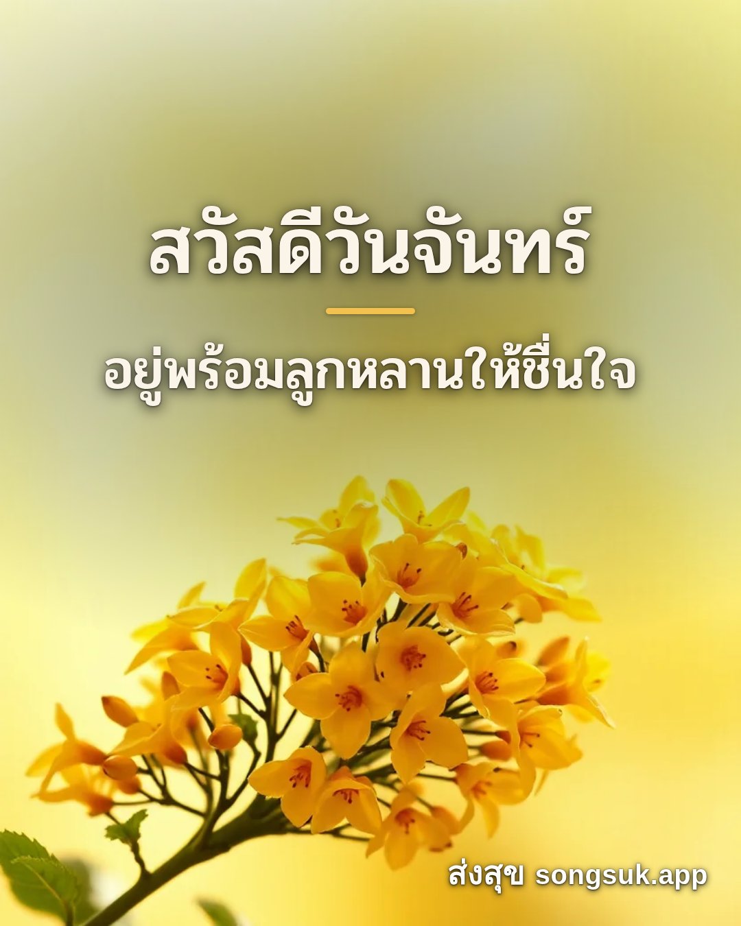 รูปอวยพร สวัสดีวันจันทร์
อยู่พร้อมลูกหลานให้ชื่นใจ จากส่งสุข