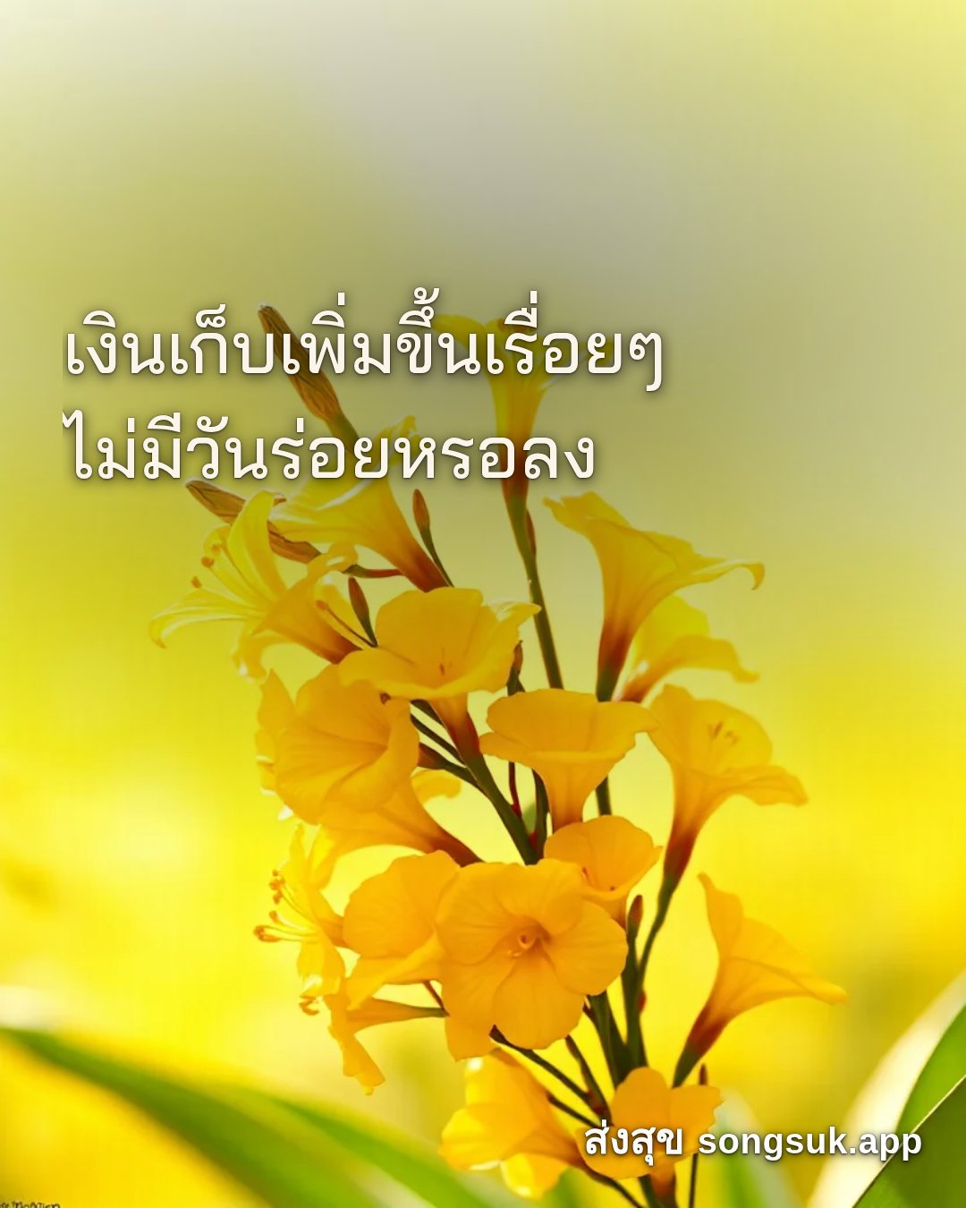 รูปอวยพร สวัสดีวันจันทร์
เงินเก็บเพิ่มขึ้นเรื่อยๆ
ไม่มีวันร่อยหรอลง จากส่งสุข