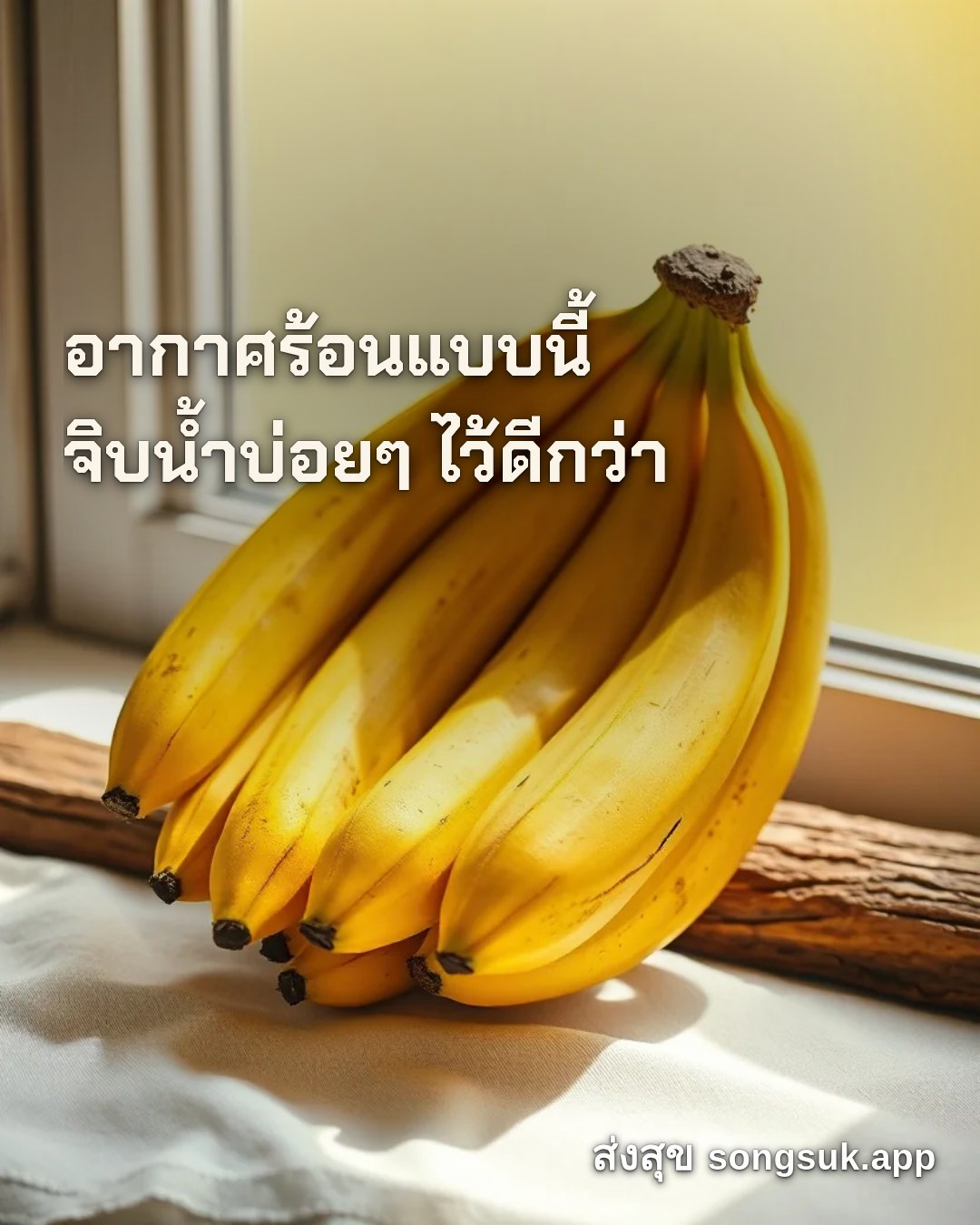 รูปอวยพร สวัสดีวันจันทร์
อากาศร้อนแบบนี้
จิบน้ำบ่อยๆ ไว้ดีกว่า จากส่งสุข
