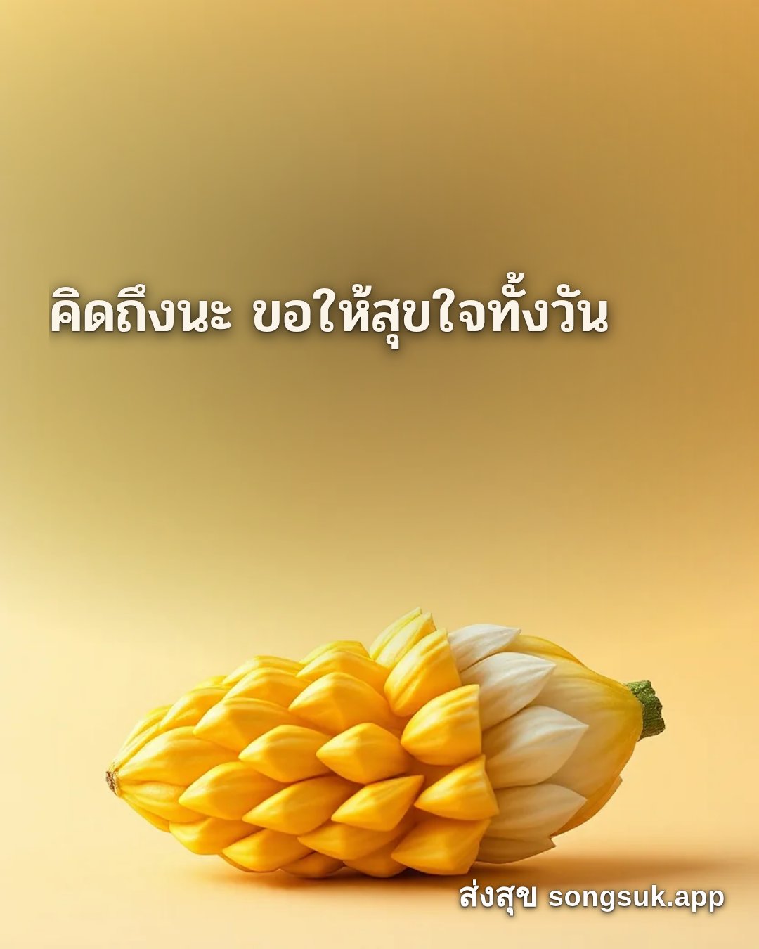 รูปอวยพร สวัสดีวันจันทร์
คิดถึงนะ ขอให้สุขใจทั้งวัน จากส่งสุข