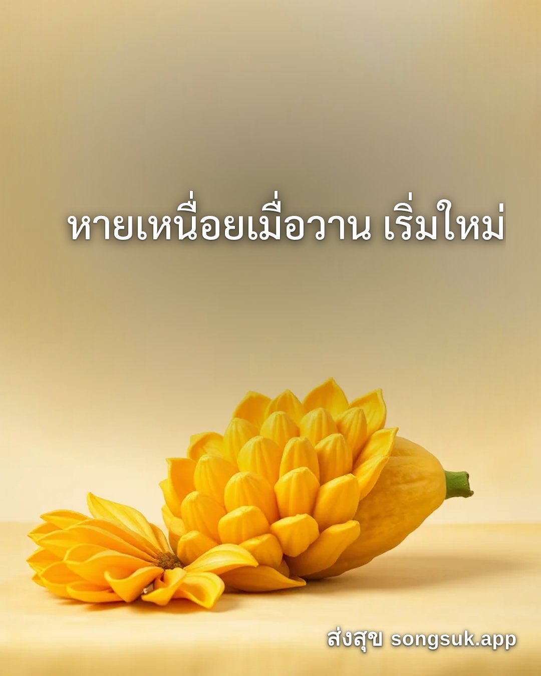 รูปอวยพร สวัสดีวันจันทร์
หายเหนื่อยเมื่อวาน เริ่มใหม่ จากส่งสุข