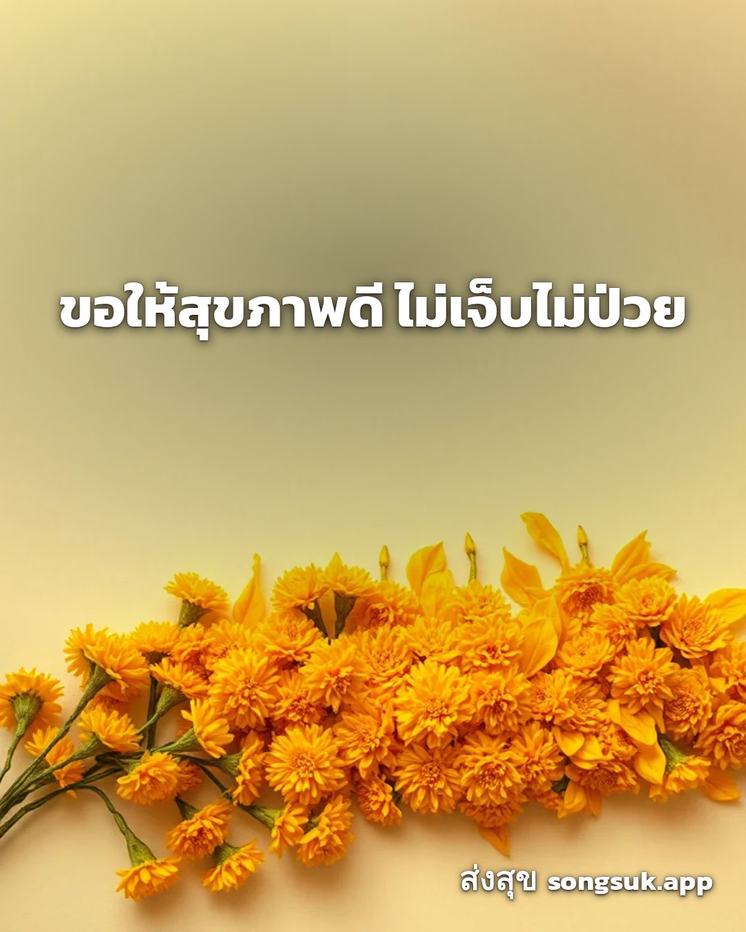 รูปอวยพร สวัสดีวันจันทร์
ขอให้สุขภาพดี ไม่เจ็บไม่ป่วย จากส่งสุข