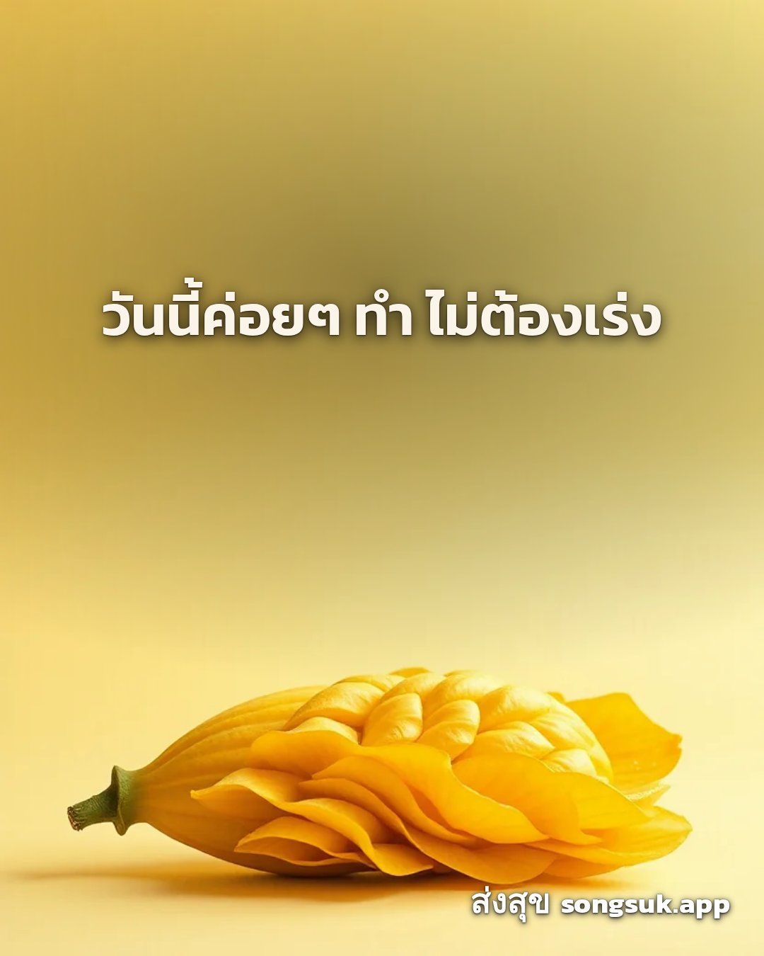 รูปอวยพร สวัสดีวันจันทร์
วันนี้ค่อยๆ ทำ ไม่ต้องเร่ง จากส่งสุข