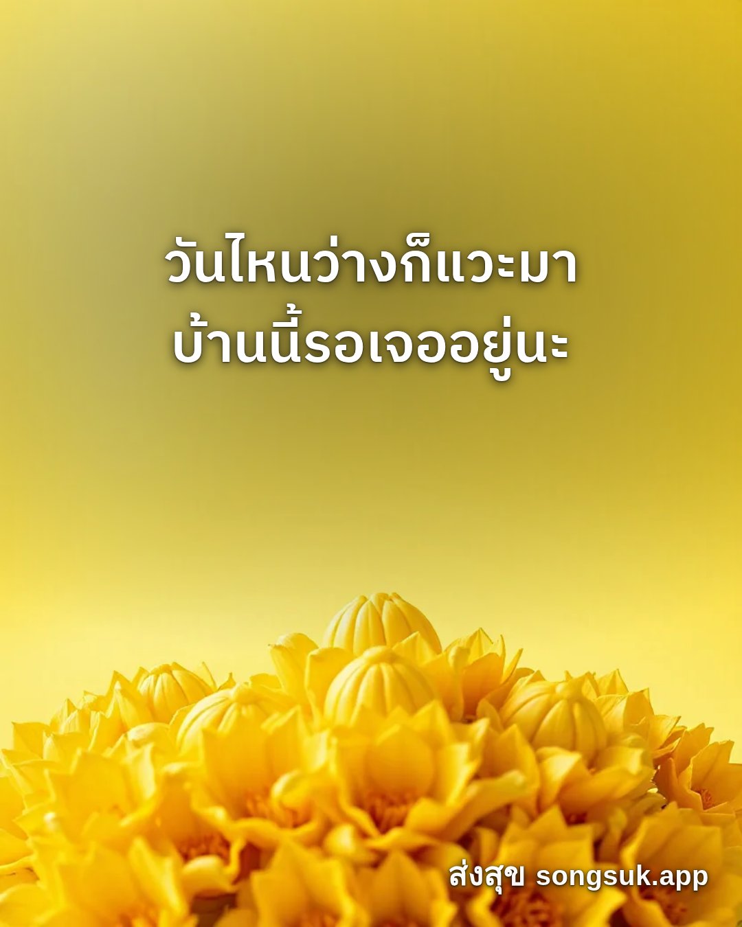 รูปอวยพร สวัสดีวันจันทร์
วันไหนว่างก็แวะมา
บ้านนี้รอเจออยู่นะ จากส่งสุข
