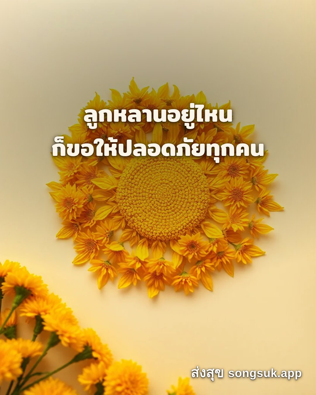 รูปอวยพร สวัสดีวันจันทร์
ลูกหลานอยู่ไหน
ก็ขอให้ปลอดภัยทุกคน จากส่งสุข
