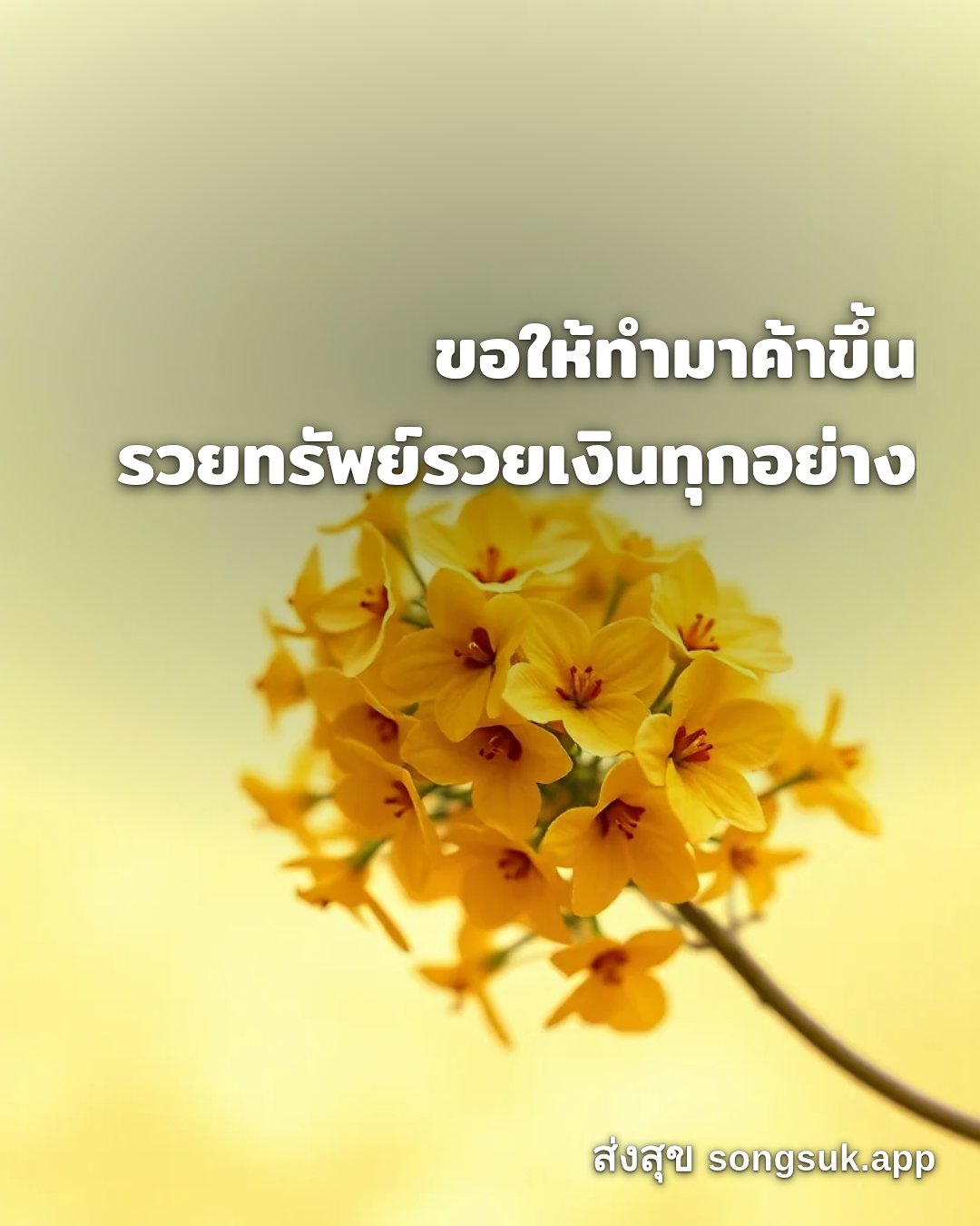 รูปอวยพร สวัสดีวันจันทร์
ขอให้ทำมาค้าขึ้น
รวยทรัพย์รวยเงินทุกอย่าง จากส่งสุข