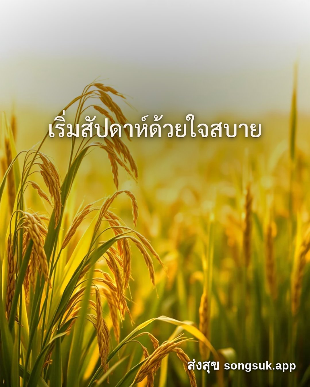 รูปอวยพร สวัสดีวันจันทร์
เริ่มสัปดาห์ด้วยใจสบาย จากส่งสุข