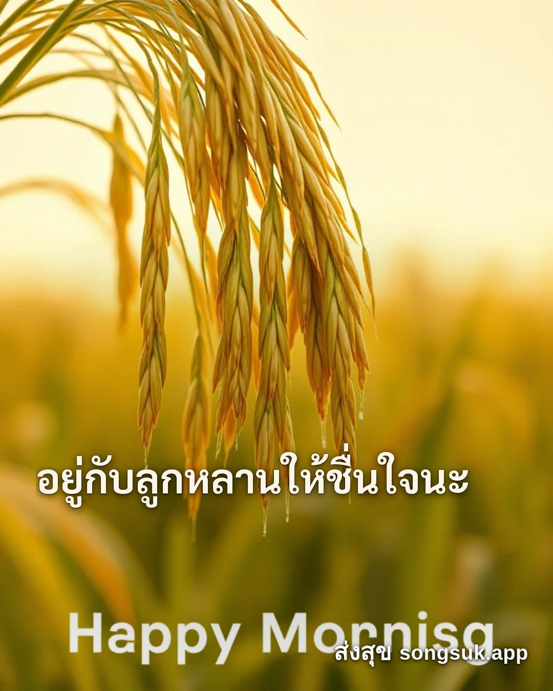 รูปอวยพร สวัสดีวันจันทร์
อยู่กับลูกหลานให้ชื่นใจนะ จากส่งสุข