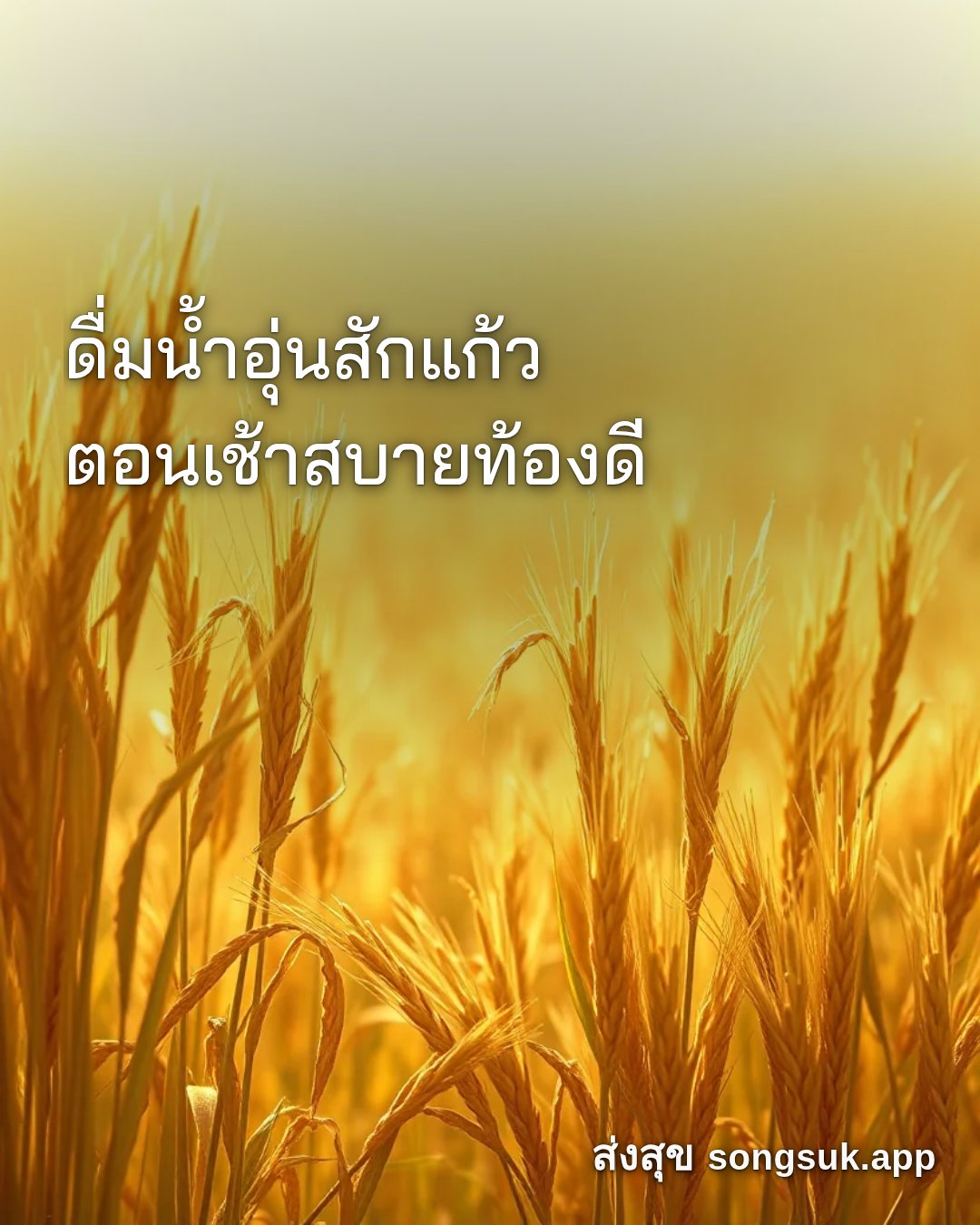 รูปอวยพร สวัสดีวันจันทร์
ดื่มน้ำอุ่นสักแก้ว
ตอนเช้าสบายท้องดี จากส่งสุข