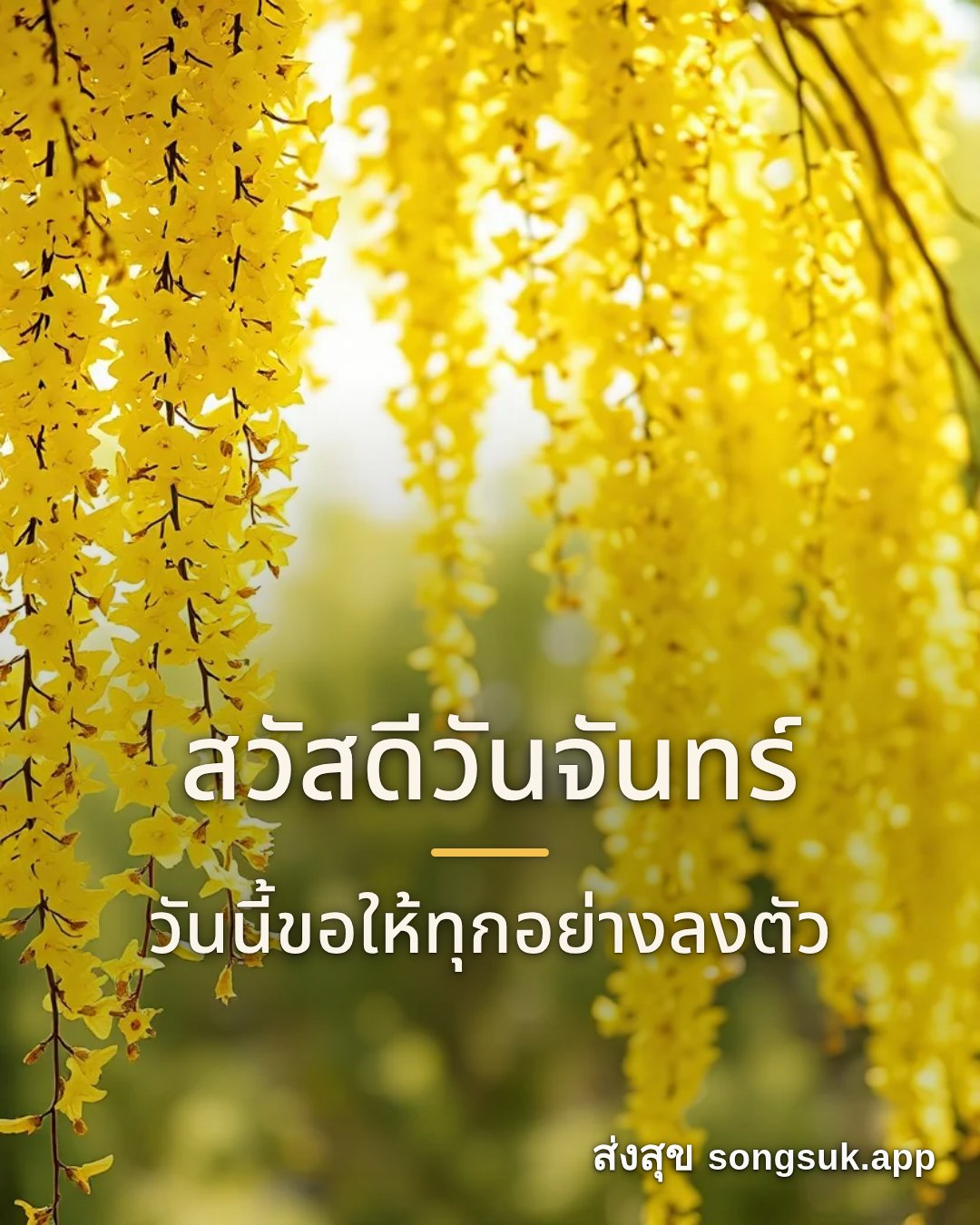 รูปอวยพร สวัสดีวันจันทร์
วันนี้ขอให้ทุกอย่างลงตัว จากส่งสุข