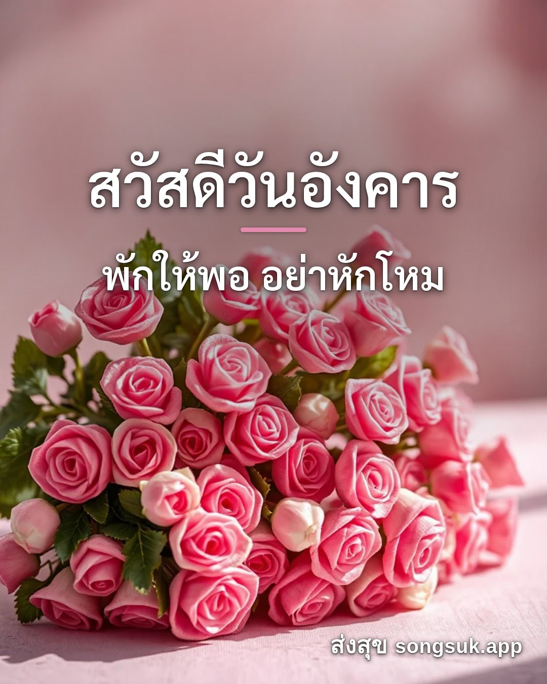 รูปอวยพร สวัสดีวันอังคาร
พักให้พอ อย่าหักโหม จากส่งสุข