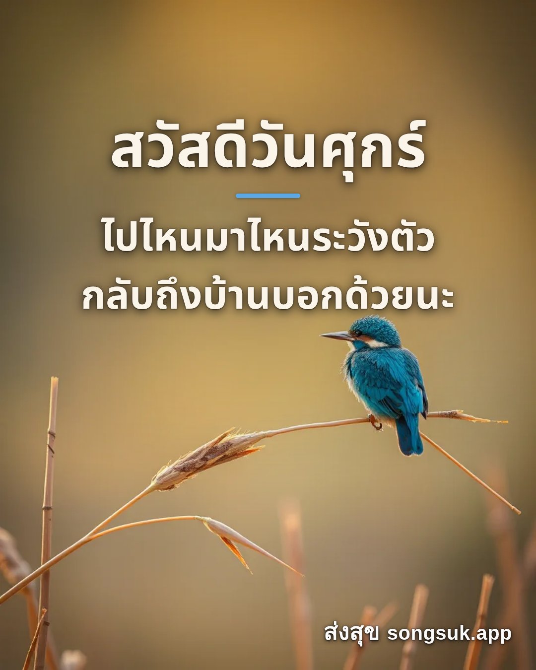 สวัสดีวันศุกร์ ไปไหนมาไหนระวังตัว กลับถึงบ้านบอกด้วยนะ