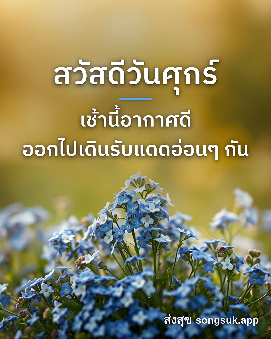 สวัสดีวันศุกร์ เช้านี้อากาศดี ออกไปเดินรับแดดอ่อนๆ กัน
