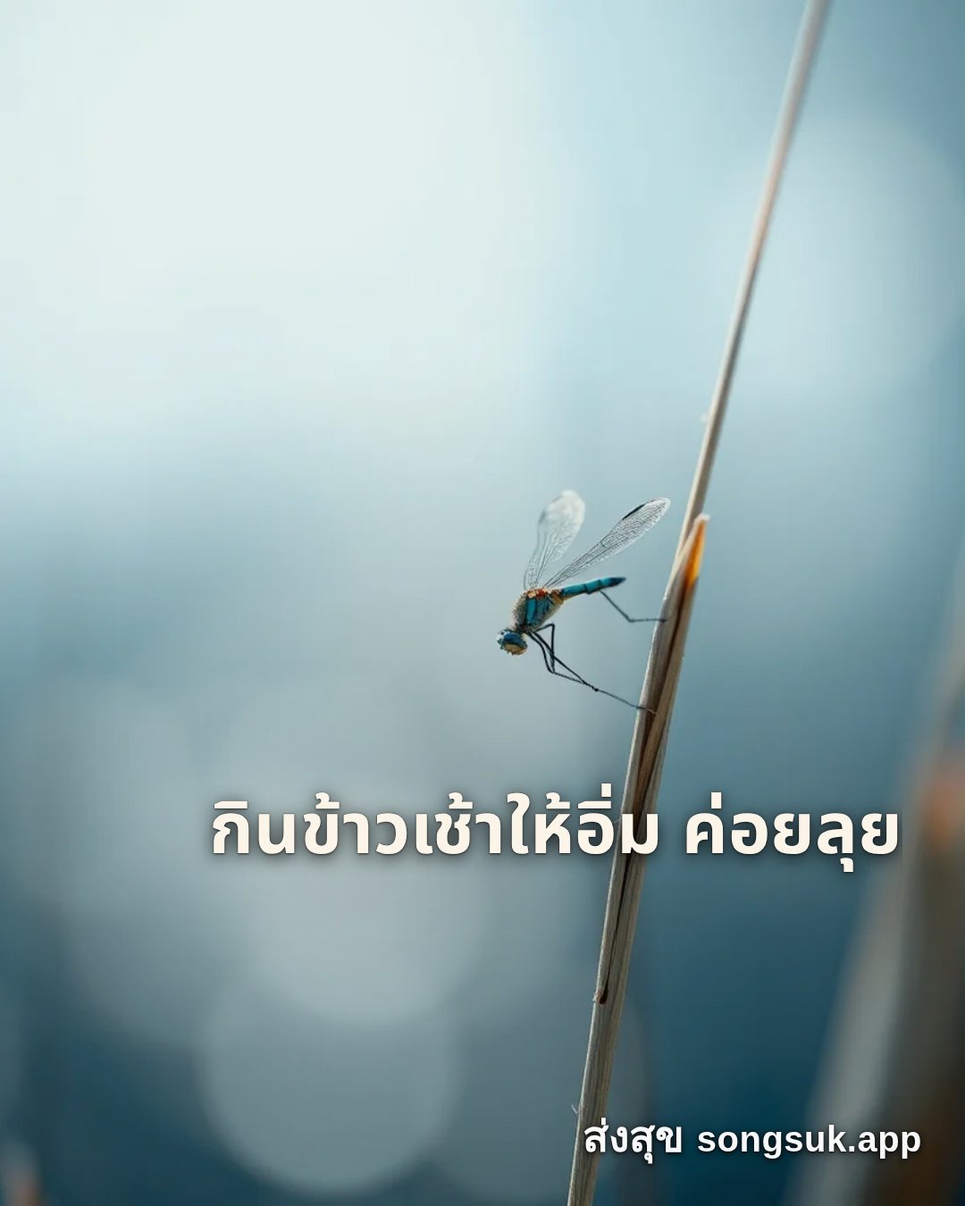 สวัสดีวันศุกร์ กินข้าวเช้าให้อิ่ม ค่อยลุย