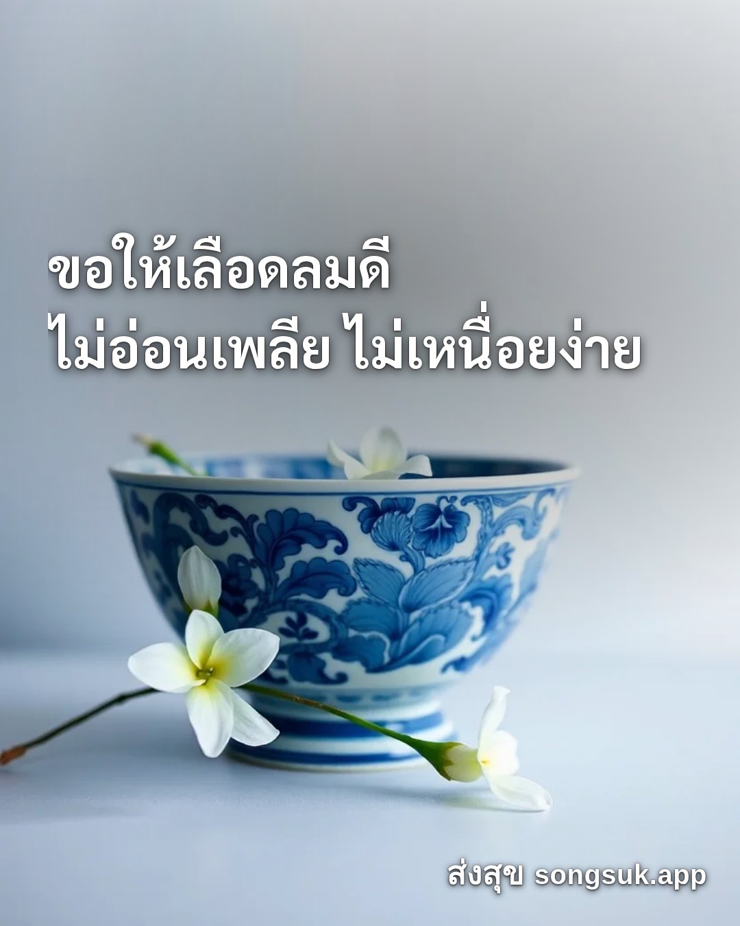 สวัสดีวันศุกร์ ขอให้เลือดลมดี ไม่อ่อนเพลีย ไม่เหนื่อยง่าย