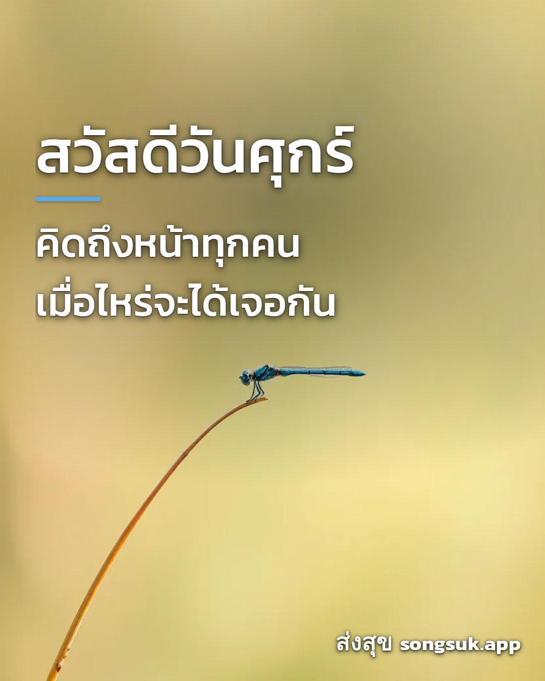 สวัสดีวันศุกร์ คิดถึงหน้าทุกคน เมื่อไหร่จะได้เจอกัน