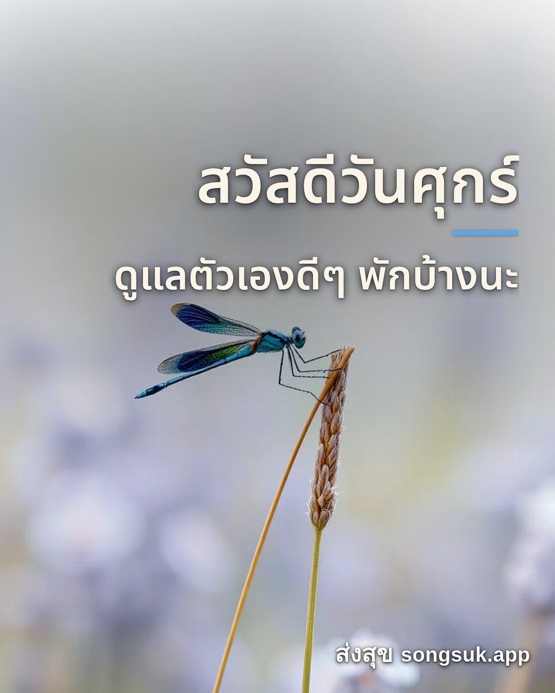 สวัสดีวันศุกร์ ดูแลตัวเองดีๆ พักบ้างนะ