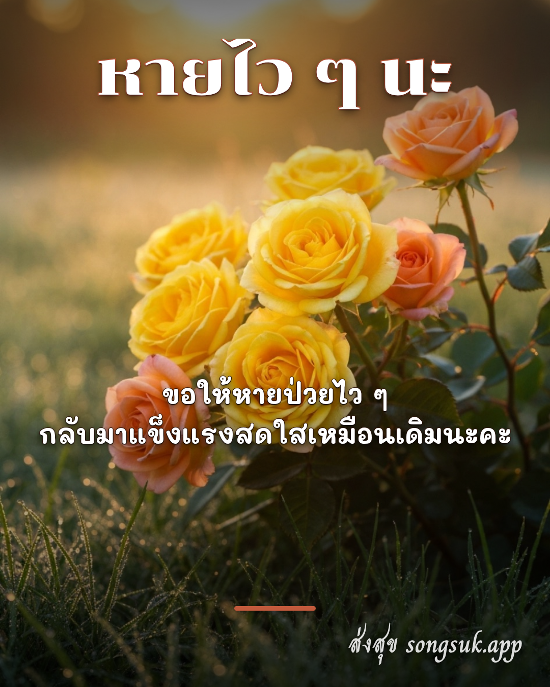 รูปอวยพร หายไว ๆ นะ
ขอให้หายป่วยไว ๆ
กลับมาแข็งแรงสดใสเหมือนเดิมนะคะ จากส่งสุข