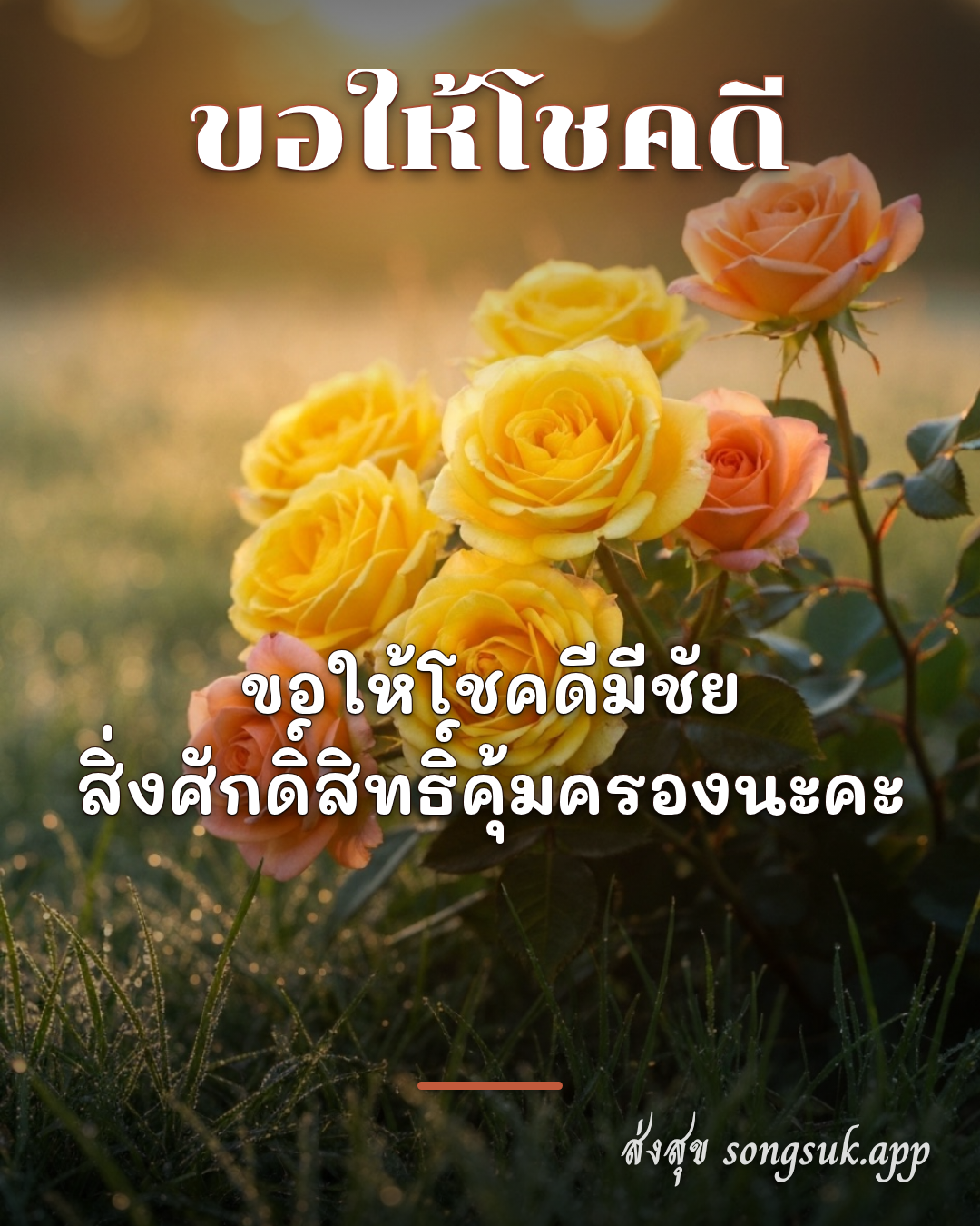 รูปอวยพร ขอให้โชคดี
ขอให้โชคดีมีชัย
สิ่งศักดิ์สิทธิ์คุ้มครองนะคะ จากส่งสุข