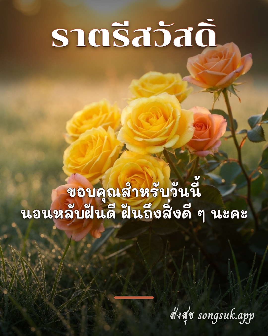 รูปอวยพร ราตรีสวัสดิ์
ขอบคุณสำหรับวันนี้
นอนหลับฝันดี ฝันถึงสิ่งดี ๆ  จากส่งสุข