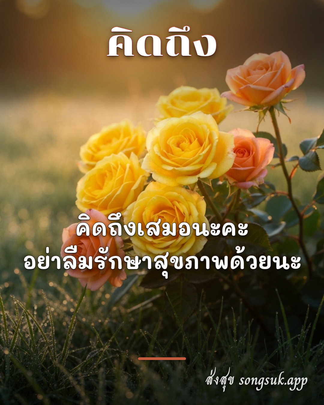 รูปอวยพร คิดถึง
คิดถึงเสมอนะคะ
อย่าลืมรักษาสุขภาพด้วยนะ จากส่งสุข
