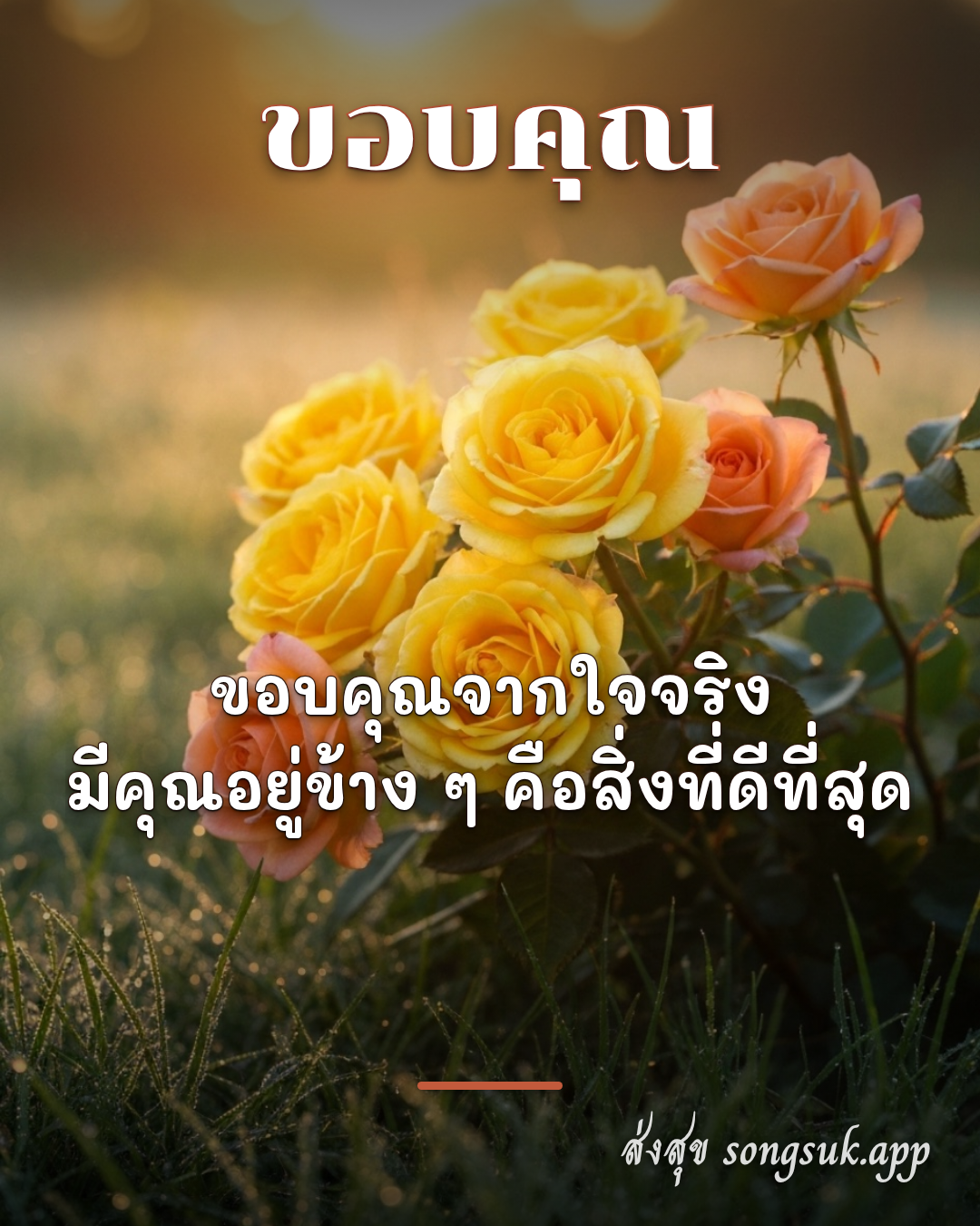 รูปอวยพร ขอบคุณ
ขอบคุณจากใจจริง
มีคุณอยู่ข้าง ๆ คือสิ่งที่ดีที่สุด จากส่งสุข